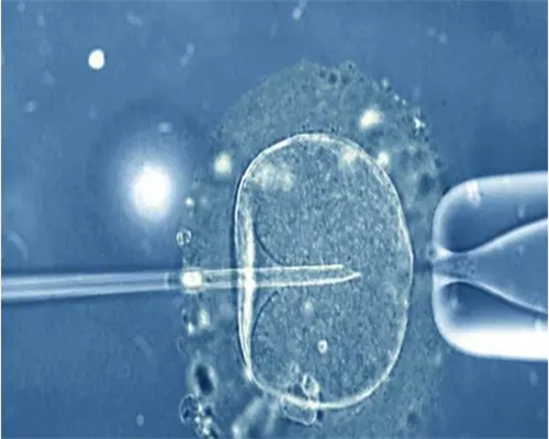 武汉代怀找哪里,武汉供卵生殖中心,武汉供卵试管中心