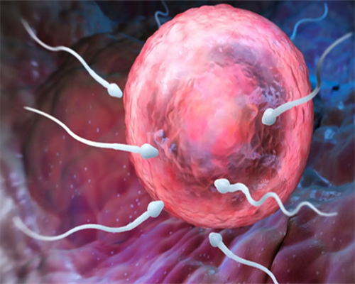 45岁以上可以做试管吗&供卵 哪个医院,男人备孕时要注意什么-这6点建议男性要