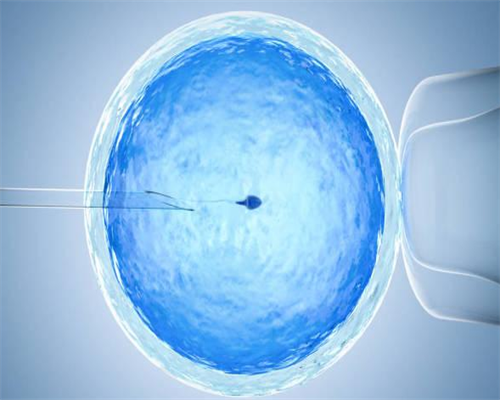 孕妇是第几个月开始发胖呢？孕妇保持良好的体要注意什么？