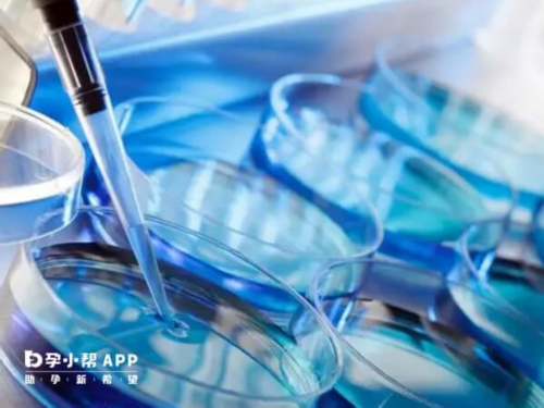 在武汉如何享受到国家提供的免费孕前检查项目？