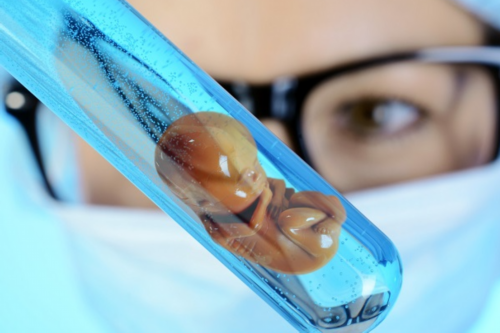 小孩性格像老太婆一样(小孩性格像老太婆一样好吗)