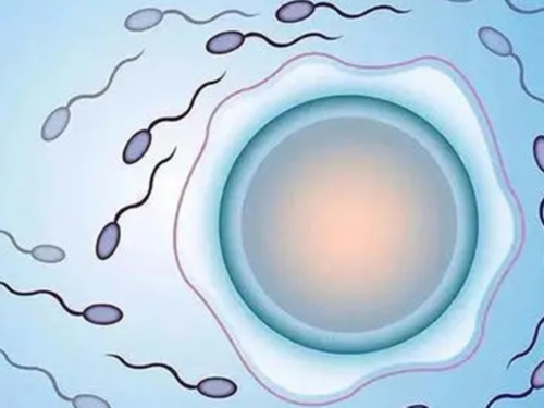 武汉供卵生殖医院,武汉协和医院-武汉试管婴儿收费标准