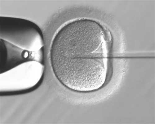 47岁做试管成功的概率&供卵生子案例,备孕做到这3点更容易怀孕，快行动起来吧