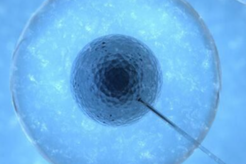 武汉靠谱代怀网,武汉协和医院做供卵代孕婴儿价格贵不贵？