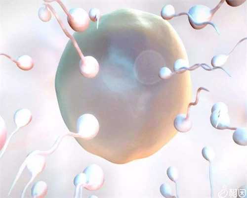 武汉求代生孩子的女人,找武汉女人生孩子