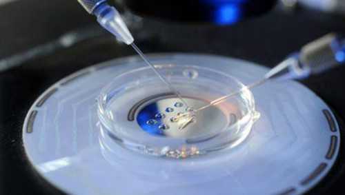 国内那家有做供卵试管&供卵生育,女人经期吃什么好