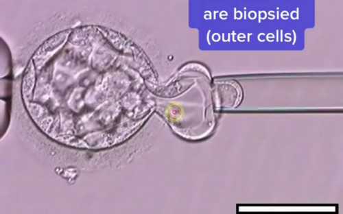 武汉做试管婴儿的私立医院,武汉试管私立医院排行榜