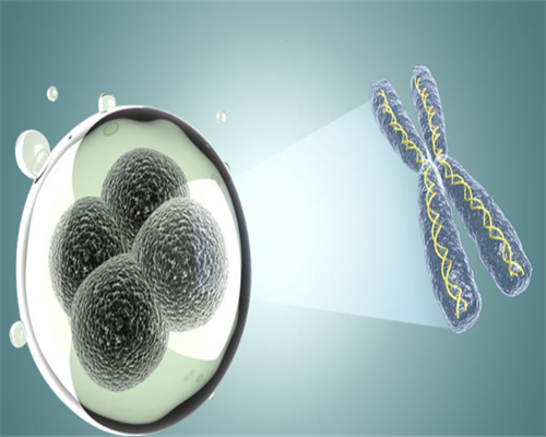 武汉供卵得多久,武汉供卵借卵多少钱？