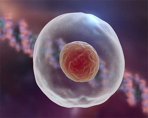 武汉代怀儿子,武汉一代试管一般都是男孩吗，武汉检查费用