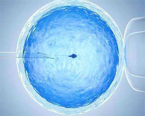 严重少精弱精试管成功率高吗&供卵试管如何防排异,孕期如何护肤