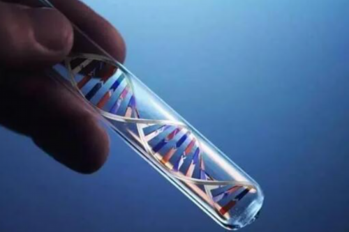 武汉供卵试管贵吗,武汉试管医院供卵费用多少钱？