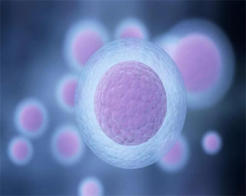 武汉哪里有代生,武汉做试管婴儿大约多少钱，一共9540元