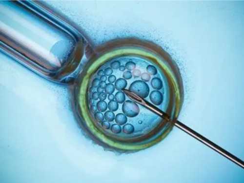 武汉做供卵前期要多久,武汉供卵捐卵医院哪家好？