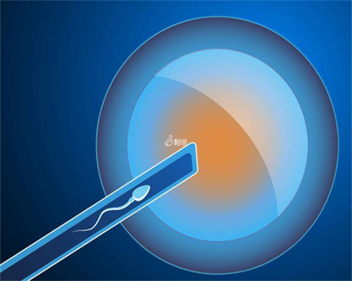 接受供卵的人都是怎么想的&再找代孕得多少钱,孕期能用电磁炉做饭吗