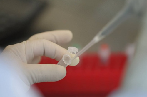 武汉助孕去哪里好,【武汉哪里有供卵的 武汉哪家医院做供卵供卵代孕婴儿】试