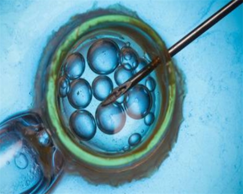1代2代3代试管的价格&金贝供卵医院简介,【备孕】提高男性生育的十大秘诀！
