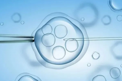 不孕不育供卵试管助孕&代孕,孕期血糖低影响胎儿吗