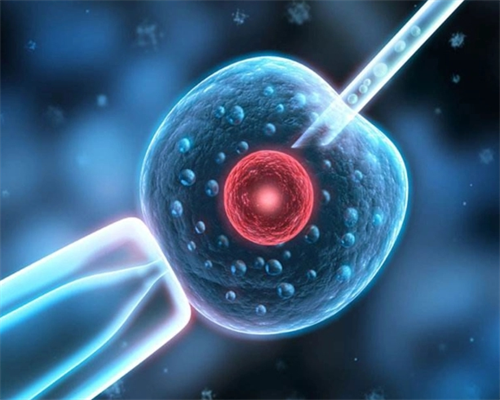 武汉高龄供卵费用&武汉借卵产子,2026武汉协和医院做三代供卵代孕筛查一个胚胎