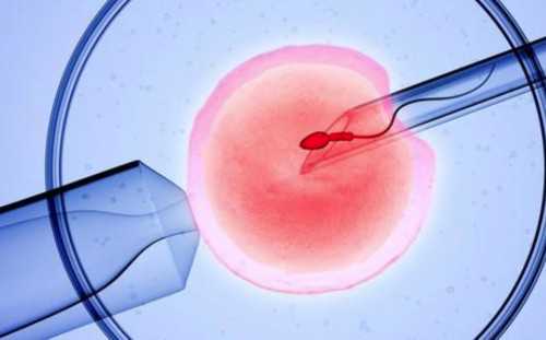 武汉借卵子助孕,2026年武汉协和医院第三代供卵代孕包生男孩多少费用？