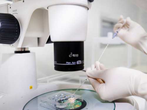 武汉代孕公司,武汉同济试管流程(武汉同济试管检查流程)