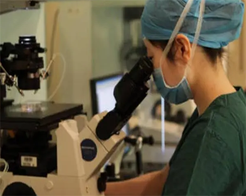 武汉正规供卵程序,武汉默默供卵