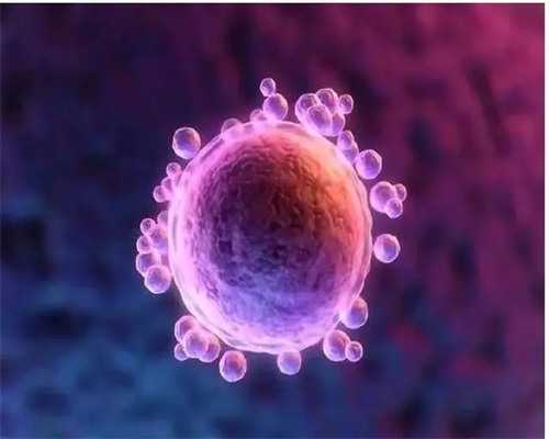 武汉试管代孕私人医院,武汉同济试管费用(武汉做试管大概费用)