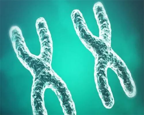 武汉代孕套餐价格表,武汉试管包成功费用,武汉试管包成功机构