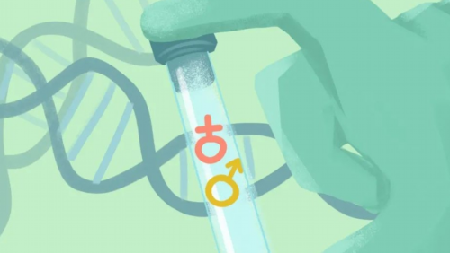 武汉代怀哪家好,武汉做试管去哪里(武汉做试管婴儿哪里好)