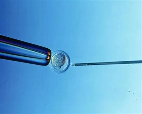 武汉代怀中心机构,武汉正规供卵试管医院,武汉正规供卵机构