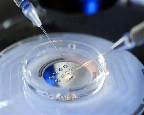 武汉哪里能做供卵,武汉能做供卵代孕婴儿有哪些医院？医院做供卵代孕费用详