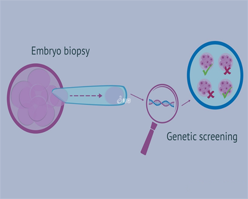 武汉助孕公,武汉协和做供卵代孕多少钱？为何很多夫妻都要做供卵代孕？
