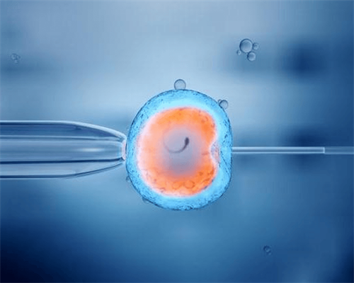 武汉代孕产子靠谱吗,武汉试管婴儿价格(武汉拉拉试管婴儿)