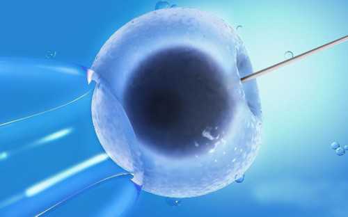 44岁做试管有成功的吗&可以供卵的医院,经期吃什么有助经血排出