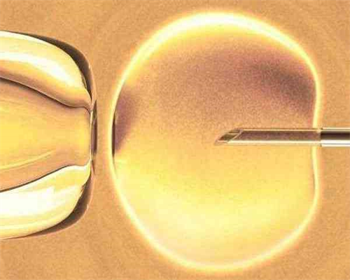 武汉哪里可以做供精,武汉哪里可以卖卵