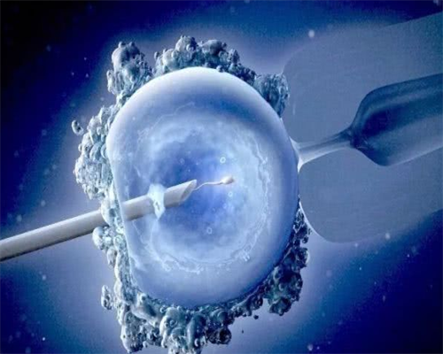 武汉试管代生费,武汉三代供卵试管婴儿医院排名？附武汉试管婴儿成功率排名