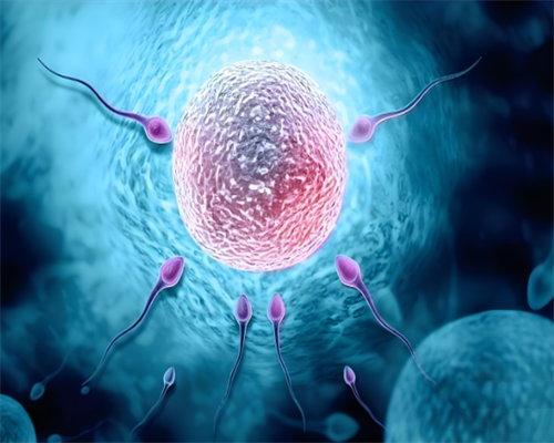 武汉代孕包成功费用,武汉供卵要花多少钱(在武汉做试管要多少钱)