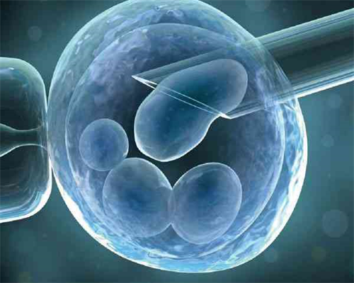 武汉代孕公司靠谱吗,[武汉试管医生排名]武汉做试管医院排名