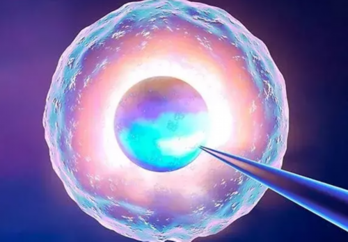 哪个医院试管能选性别&试管买卵子,孕期产检费用能报销吗