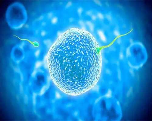 武汉去柬埔寨试管婴儿最好机构排行榜(武汉有到柬埔寨的飞机吗)