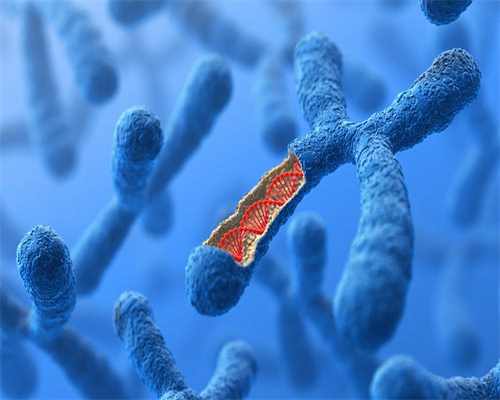 武汉靠谱代孕中心,武汉协和医院和武汉同济医院哪个做试管好？