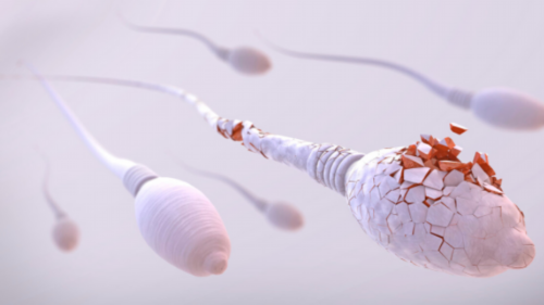 武汉代孕公司哪里找,武汉供卵要花多少钱(在武汉做试管要多少钱)