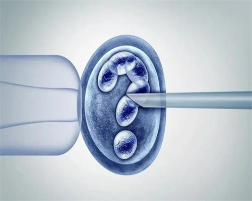 武汉同济医院试管费用,武汉同济试管三代费用