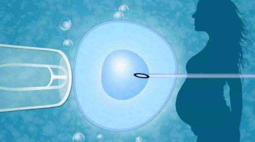 武汉哪家医院做代孕好,试管婴儿武汉(武汉试管婴儿价格)