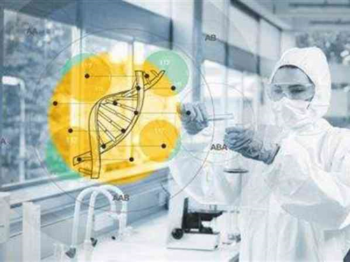 武汉拉拉代孕网,武汉正规供卵试管医院,武汉正规供卵机构