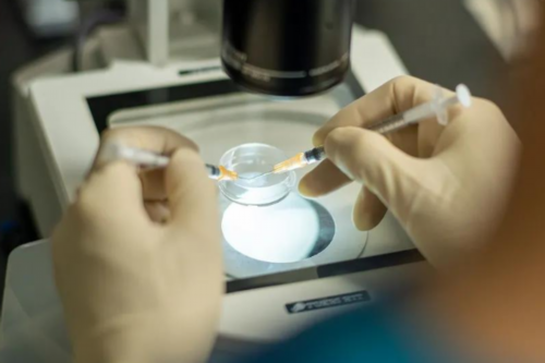 武汉供卵试管好吗,武汉供卵是第几代试管,武汉供卵三代试管