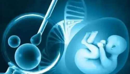 湖北省妇幼保健郑洁生技术怎么样？试管成功率高不高？