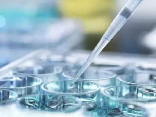 怎样快速怀孕？试试这些科学方法