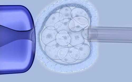 代生孩子真心找代孕&第三方供卵要多少钱,全面解析我国二价HPV疫苗，不建议年