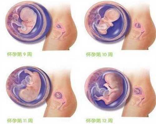 <b>备代孕期间的8大误区 _佑宝代孕育陕西助代孕中</b>