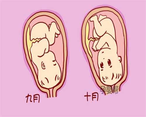 麻麻的肚子里是粉红色的_中国上海孕婴展